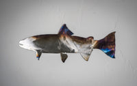 Steelhead Wall Art