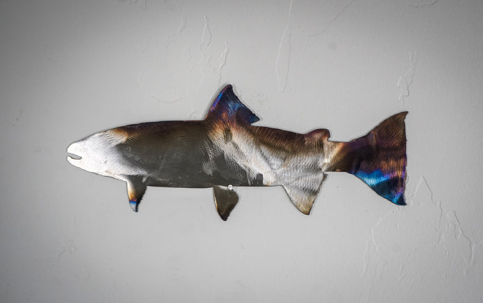 Steelhead Wall Art